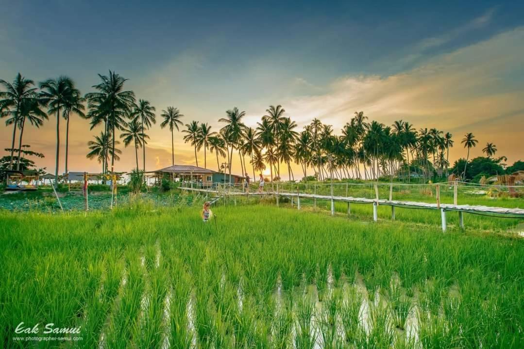 I - Talay Taling Ngam Samui - เขา ป่า นา เล ตลิ่งงาม สมุย Hotel Екстериор снимка