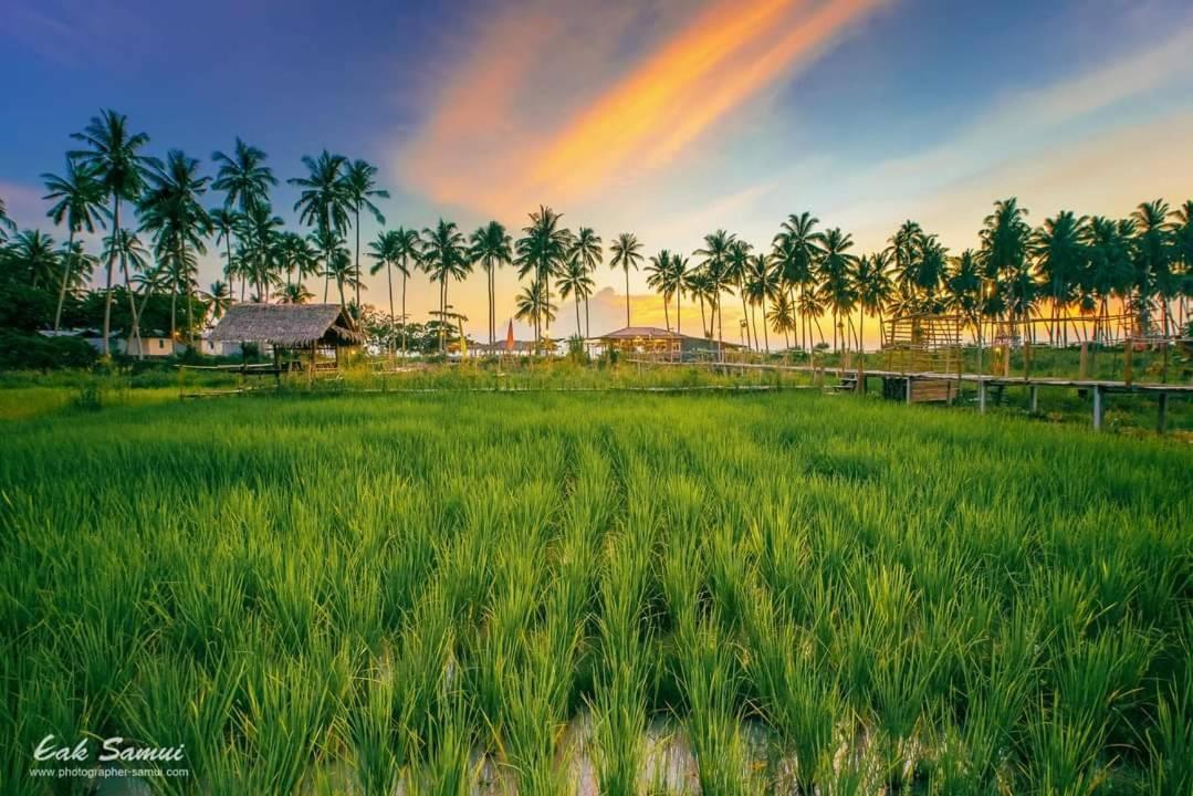 I - Talay Taling Ngam Samui - เขา ป่า นา เล ตลิ่งงาม สมุย Hotel Екстериор снимка